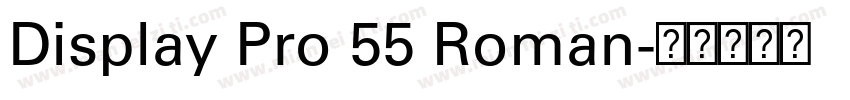 Display Pro 55 Roman字体转换